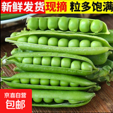 新鲜豌豆四川带壳青豆角水果甜豆荚农家蔬菜 新鲜青豌豆荚净重2斤