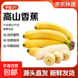 广东高山香蕉当季新鲜生鲜水果薄皮青蕉现摘现发水果源头产地直发 【3斤装】广东高山甜香蕉