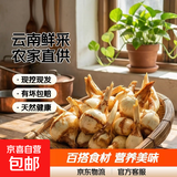 云南白茨菇新鲜农家自种白菇蘑菇白菇白花菇食用菌菇慈姑 新鲜白茨菇 2斤