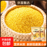 山西黄小米 油小米 月子米黄米粟米杂粮山西特产当季新米 黄小米500g*2袋
