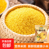山西黄小米 油小米 月子米黄米粟米杂粮山西特产当季新米 黄小米5斤