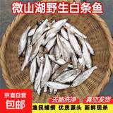 新鲜小白条鱼活鱼现杀刁子鱼油炸淡水小河鱼杂鱼翘嘴鱼商用餐条鱼 中小号白条鱼（每斤20-40条）1斤 3斤