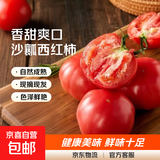 新鲜沙瓤大番茄生吃西红柿减肥早餐即食新鲜蔬菜生鲜单果＞100g 试吃装 1斤