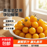 【东东买菜】黄金圣女果迷你樱桃小番茄小西红柿新鲜孕妇水果农家 （带箱） 2斤 即食方便