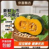 正宗贝贝南瓜小果2斤带箱甜糯粉糯宝宝辅食首选新鲜蔬菜生鲜自然种植健康营养家庭必备优质南瓜