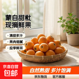 云南蒙自甜枇杷新鲜水果当季长虹琵琶枇杷现摘树上熟整箱 1斤尝鲜装（单果重30克+）