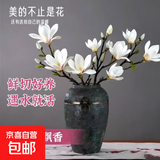 【真玉兰】水培玉兰花干枝带花苞鲜切耐寒好养室内植物紫玉兰 【20-30cm】混色玉兰【鲜枝发货】 4枝+肥料