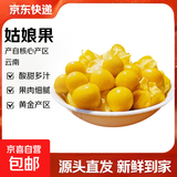 正宗姑娘果新鲜水果当季生鲜黄菇娘灯笼果酸甜源头直发京东包邮 【带箱3斤】净重2.6斤