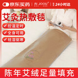 AI JOOU艾灸毯热敷袋理疗袋全身通用加热艾草艾绒坐垫热敷艾灸电热毯家用