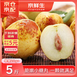 京鲜生 陕西大荔冬枣 净重5斤 单果20g以上 生鲜水果