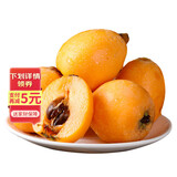 京鲜生 四川枇杷五星枇杷 净重2斤  单果20-30g 生鲜水果