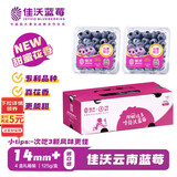 佳沃 JOYVIO云南蓝莓甜蜜花香系列 14mm+ 4盒礼盒装 约125g/盒 新鲜水果