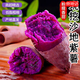 京地达紫薯山东沙地紫薯粉糯香甜净重9斤单果100g+新鲜蔬菜源头直发包邮