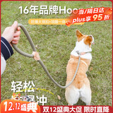 华元宠具（hoopet）狗狗绳子防爆冲P绳狗链子牵引绳胸背带大型小中型犬防挣脱溜遛狗