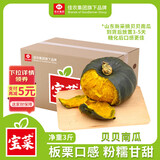 佳农宝菜 新贝贝南瓜净重3斤单果200g+ 轻松辅食源头直发