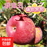 京喜加正宗红富士丑苹果脆爽多汁应季红富士苹果新鲜苹果多仓混发 整箱2斤A+级中果【果径70-75】