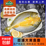 霞浦大黄鱼黄鱼鲞东海大黄鱼黄花鱼活鱼现杀新鲜速冻三去处理 250g*5