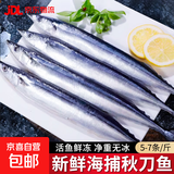 深海秋刀鱼 新鲜海捕船冻锁鲜无冰日式料理海鲜烧烤食材 生鲜鱼类 海捕秋刀鱼4斤（5-7条/斤）