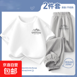 夏款套装男童衣服春装2025新款纯棉短袖大童上衣运动裤儿童两件套 高山K白+高山K冰川灰 140