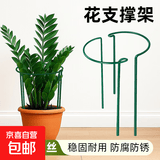 花支撑架植物支撑杆阳台花架花卉龟背竹防倒伏虎皮兰护花架子绿萝 加粗护花架（宽21cm高35cm）*2个 【一个圈】
