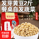 发芽黄豆 生豆芽专用小黄豆家庭水培蔬菜发芽率高豆苗菜 发芽黄豆【2斤】