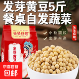发芽黄豆 生豆芽专用小黄豆家庭水培蔬菜发芽率高豆苗菜 发芽黄豆【5斤】