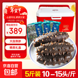 即食海参独立包装新鲜海鲜礼盒鲜食大连海参刺身冷冻辽参优质刺参 精美优质礼盒5斤（50-75头）