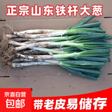 山东大葱新鲜正宗铁杆大葱非章丘长白毛葱蘸酱生鲜蔬菜批发 山东铁杆大葱-带脏皮去半叶【5斤装】