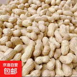 带壳花生 花生果 粉皮花生新货熬粥做法可油炸 带壳花生果250g
