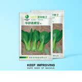 中科茂华蔬菜种子青梗菜种子青崧901俏江南油菜种子耐寒适宜大棚基地种植  青梗菜500粒/袋
