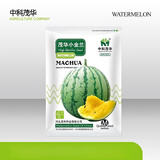 中科茂华瓜果种子茂华小金兰礼品西瓜种子花皮黄肉超小凤種子金福K8 茂华小金兰20粒/袋