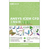 CAE分析大系 ANSYS ICEM CFD工程实例详解赠DVD光盘1张（数艺设出品）