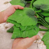 八千城仿真绿植藤条葡萄叶水管道装饰塑料假花葡萄藤蔓物叶子吊顶装饰 20叶特大号葡萄叶（12条装）