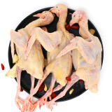 土记 新鲜散养鸽子3只净重900g 乳鸽鸽子肉生鲜其他禽类