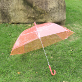 强迪透明伞 成人伞糖果色雨伞 加厚PVC长柄伞 直柄伞 公主伞 手柄加粗 桔色(加粗手柄) 伞径93CM