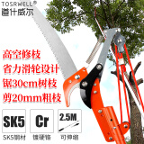道什威尔（TOSRWELL）高枝剪高空剪园艺工具高枝锯伸缩摘果剪高空修剪树枝剪刀手动农具 2.5米2滑轮铁管无极伸缩剪2cm左右