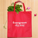 爱屋格林无纺布袋手提袋子礼品袋环保袋购物袋实用环保复古花色高颜值便携 红色大号4BG0003