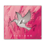 姚贝娜：纪念专辑《天生骄傲》（京东专卖）（2CD）