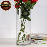 豪斯特丽（HOSTLY）直筒透明玻璃花瓶 特大号客厅摆件 富贵竹玫瑰百合插花平光花瓶 直径12高30