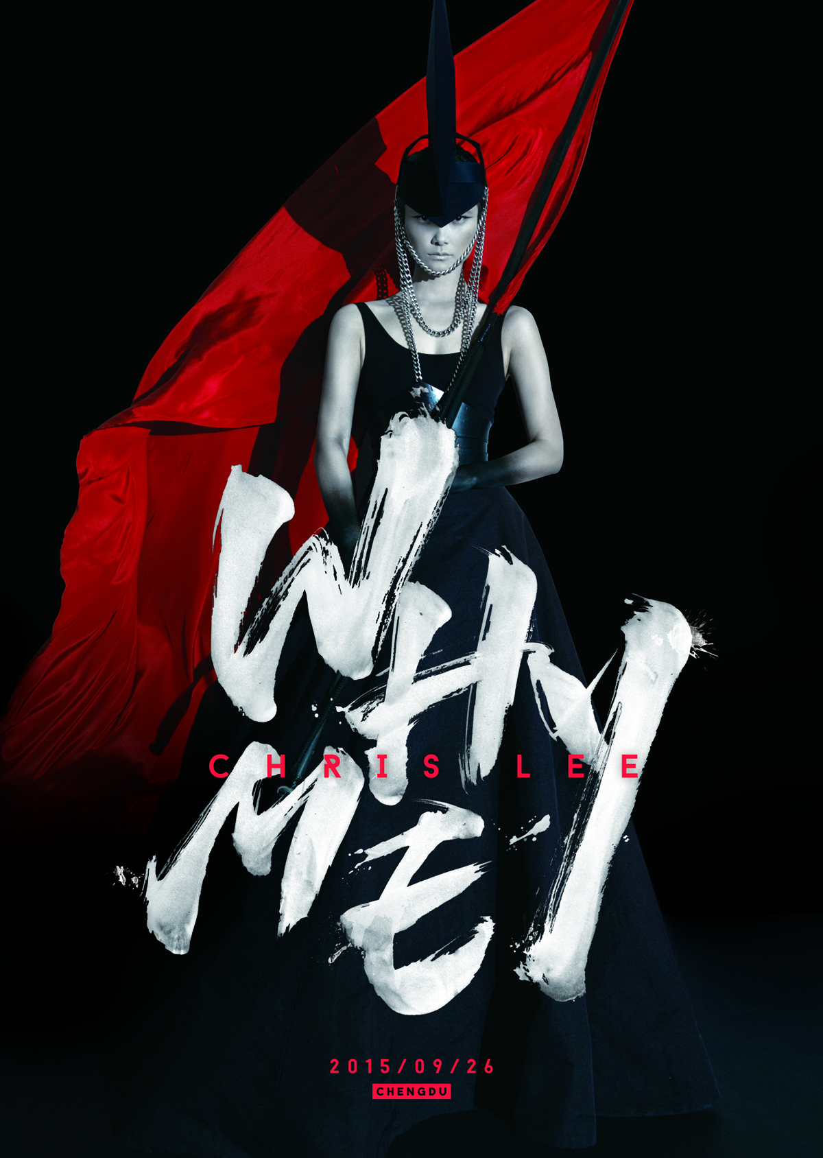 李宇春WhyMe ChrisLee十周年演唱会珍藏大礼包  whyme（京东专卖）（DVD）