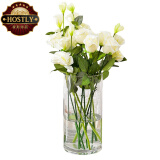 豪斯特丽（HOSTLY）直筒透明玻璃花瓶 特大号客厅摆件 富贵竹玫瑰百合插花平光花瓶 直径15高30