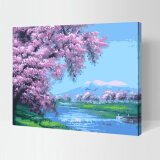 佳彩天颜 diy手绘数字油画带内框 花卉风景客厅礼品结婚装饰画创意礼品 G113樱花 40*50CM订好内框