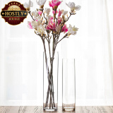 豪斯特丽（HOSTLY）直筒透明玻璃花瓶 特大号客厅摆件 富贵竹玫瑰百合插花平光花瓶 直径12高50