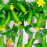豫之韵仿真花艺假花藤条客厅仿真水果葡萄叶藤蔓花塑料摆件婚庆装饰花壁 黄瓜