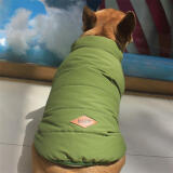 DADAGOU法国斗牛犬衣服宠物棉衣巴哥沙皮胖狗狗秋冬装棉背心加绒加厚棉衣 斗牛犬棉背心-军绿色 XXL