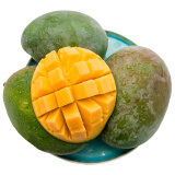京鲜生 四川攀枝花凯特芒果 超大果1.5kg 单果700g以上 生鲜水果