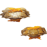 【活鲜】 蟹爱 鲜活青蟹红膏蟹肉蟹产地三门  999g 2只 盒装