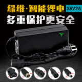 电动车锂电池充电器48V2A电瓶充电器 36V2A T型通用口（输出电压42V）
