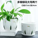 仟尚亿随机八个花盆陶瓷批发带托盘家用绿萝创意简约多肉植物小多肉花盆 多瓣绿花大号两个（带托盘） 【破损包赔-有问题联系客服处理】