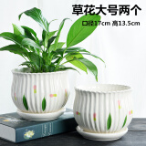 仟尚亿随机八个花盆陶瓷批发带托盘家用绿萝创意简约多肉植物小多肉花盆 草花大号2个17cm 中等
